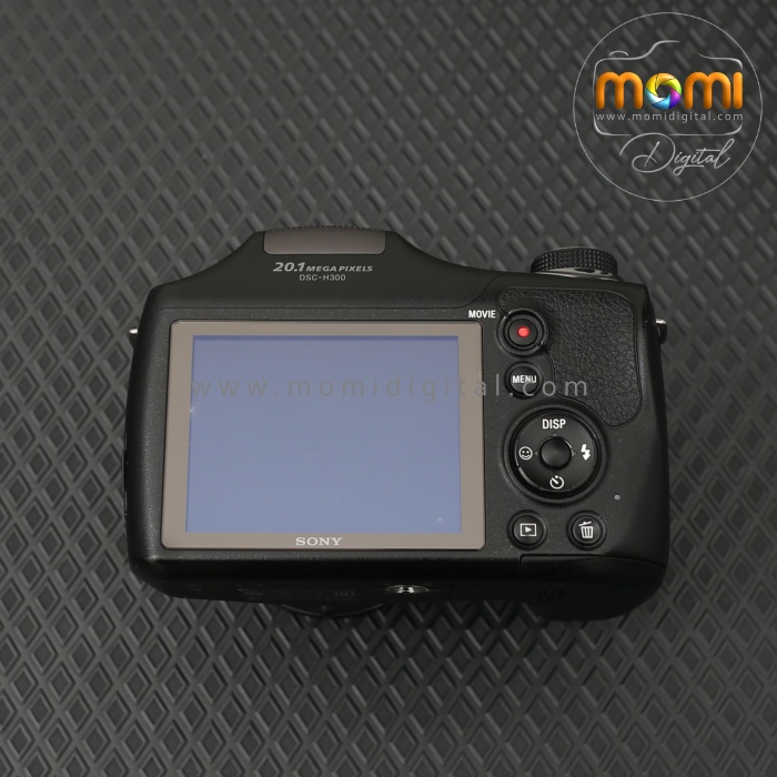 sonyDSCH300-e SONY DSC-H300 - Image 6